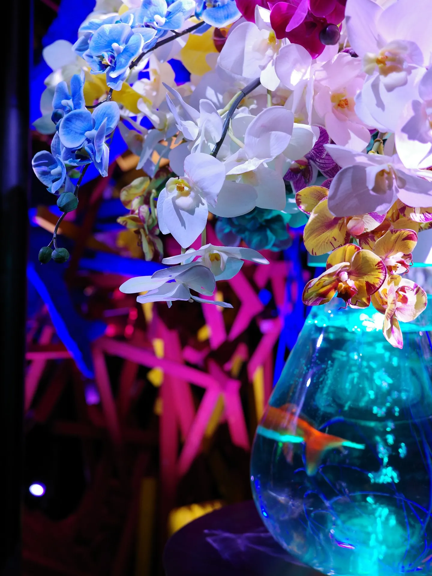 アートアクアリウム展名古屋2025