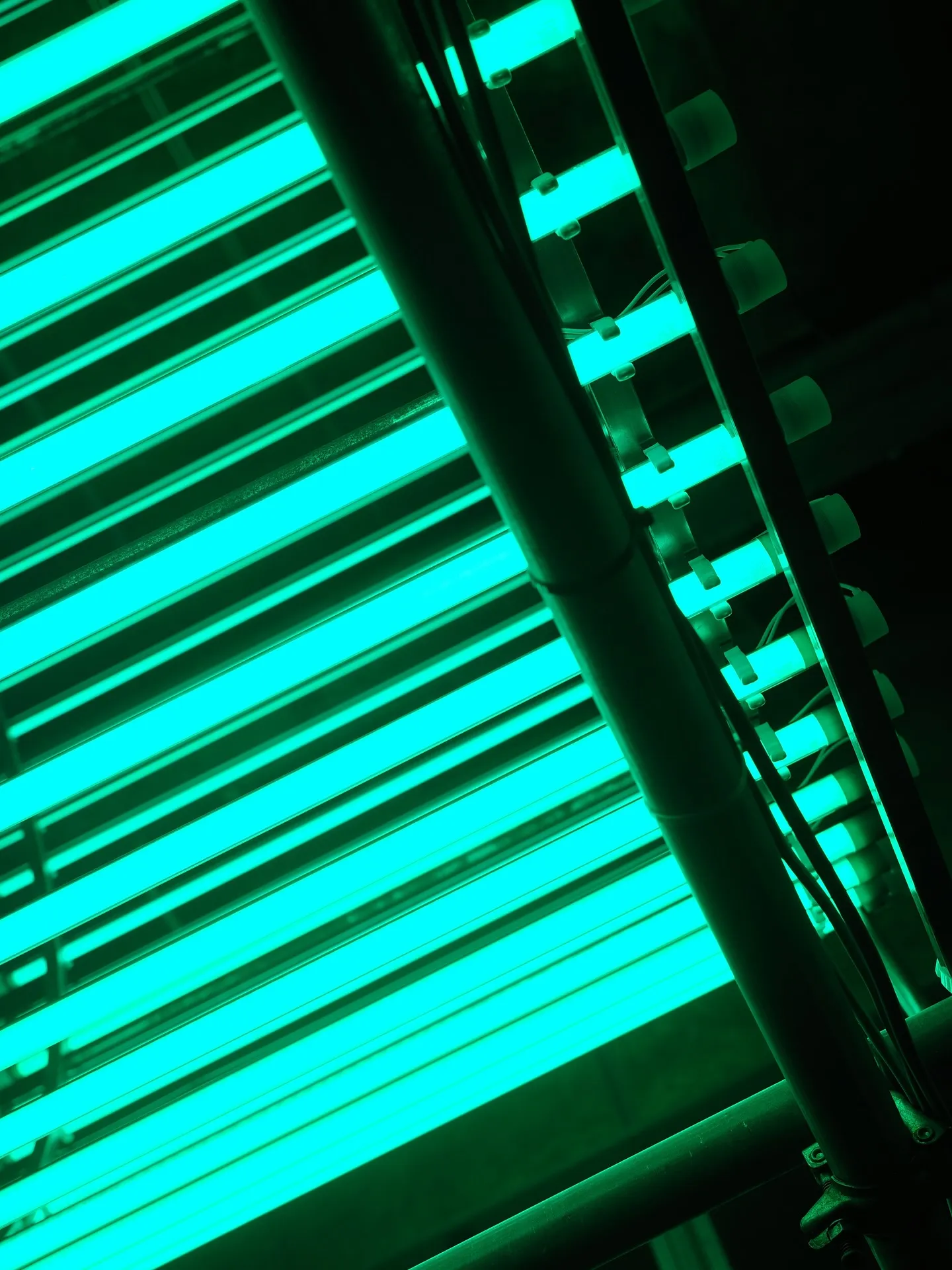 CIRCULATION -サーキュレーション- produc...