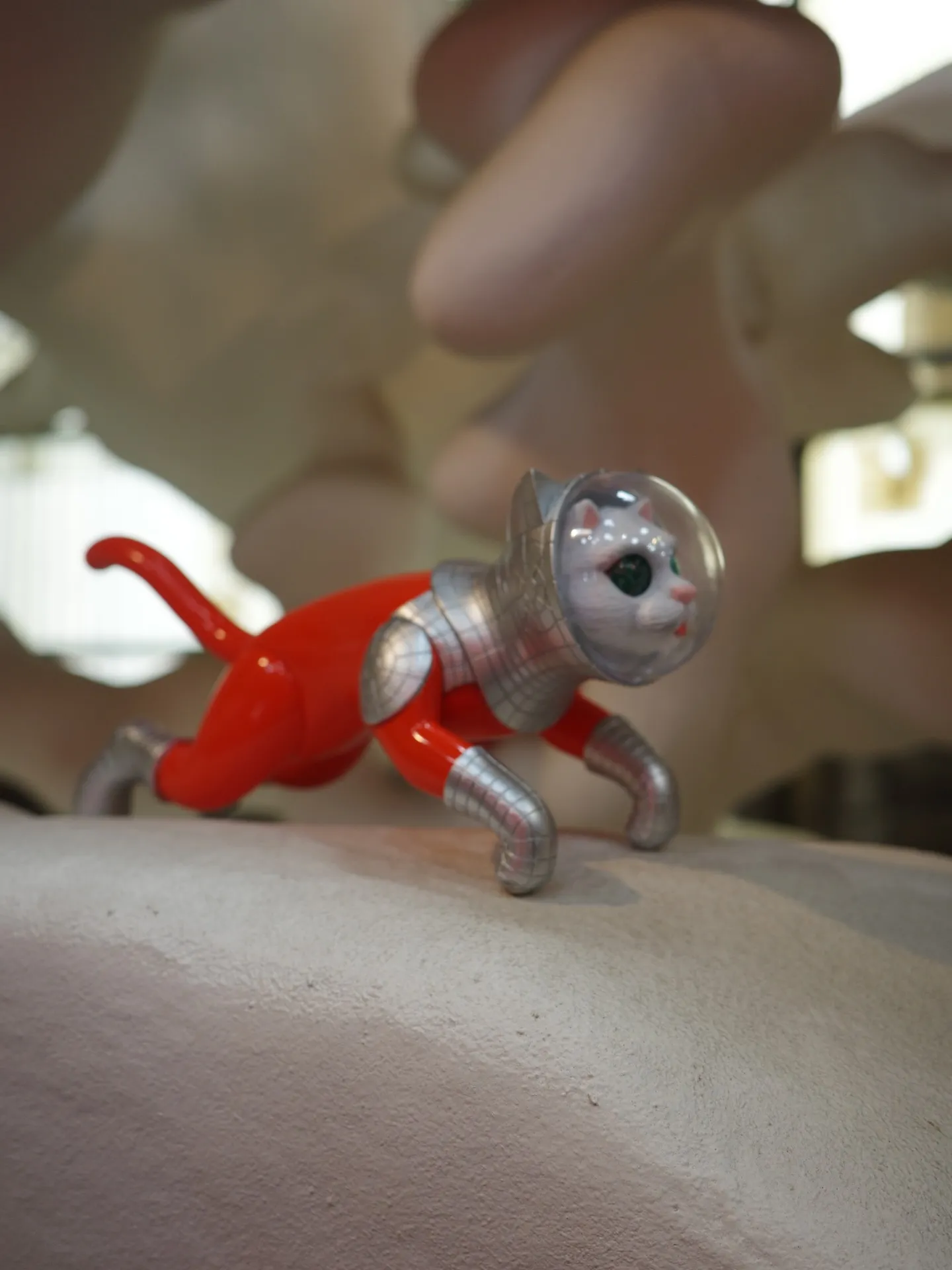 ヤノベケンジships cat