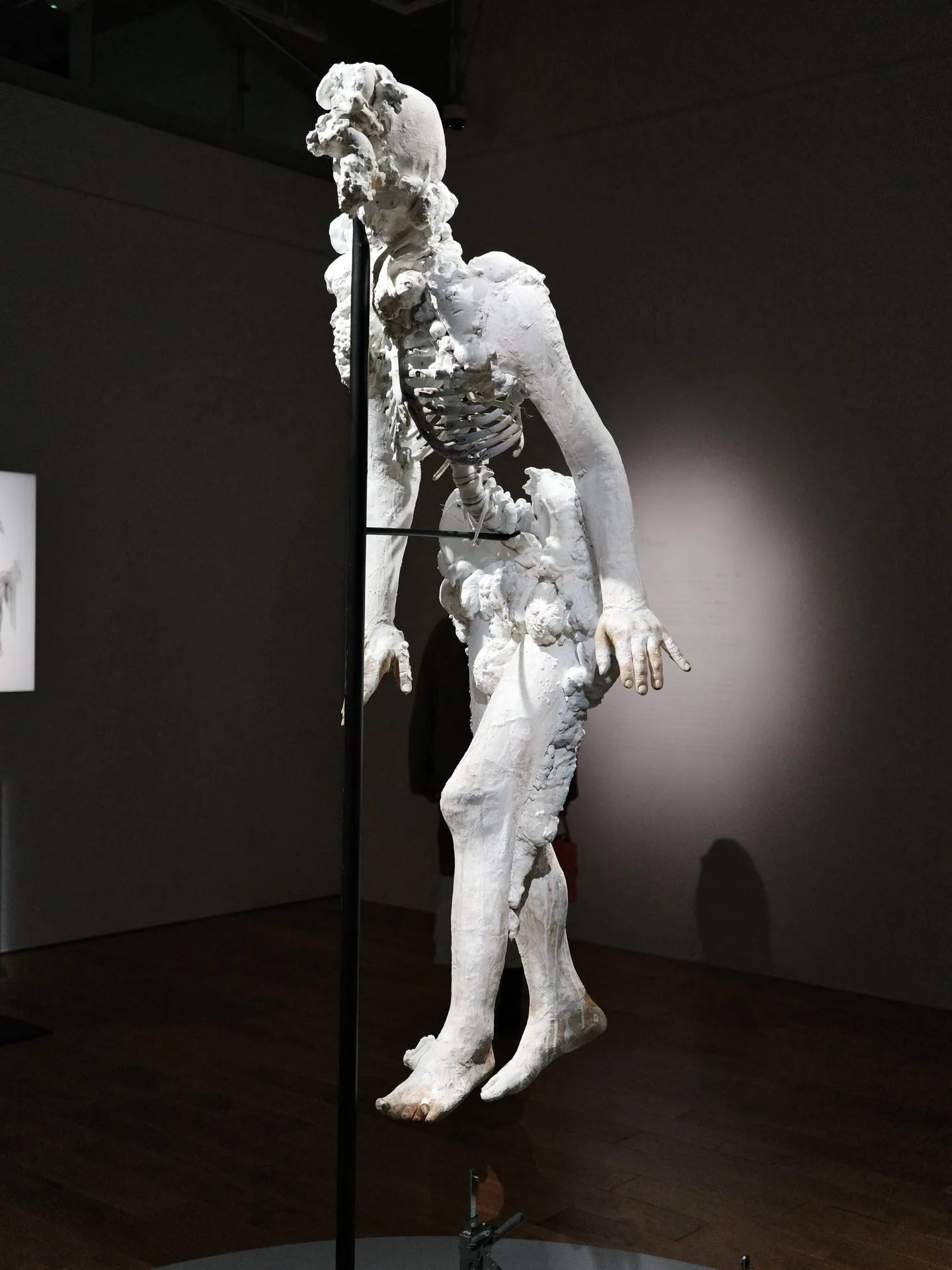 きみはうつくしい　諏訪敦　WHAT MUSEUM