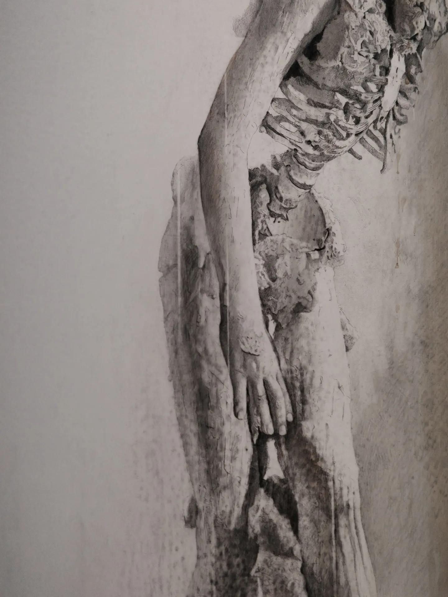 きみはうつくしい　諏訪敦　WHAT MUSEUM