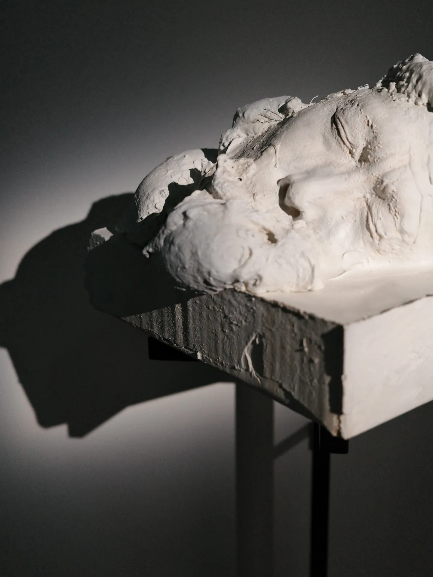 きみはうつくしい　諏訪敦　WHAT MUSEUM