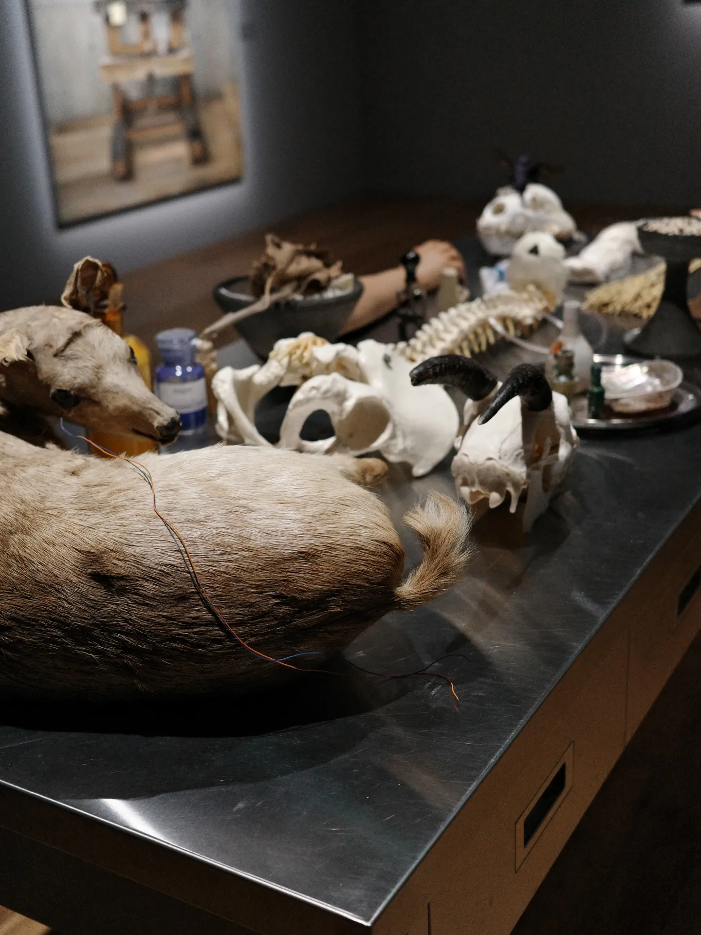 きみはうつくしい　諏訪敦　WHAT MUSEUM