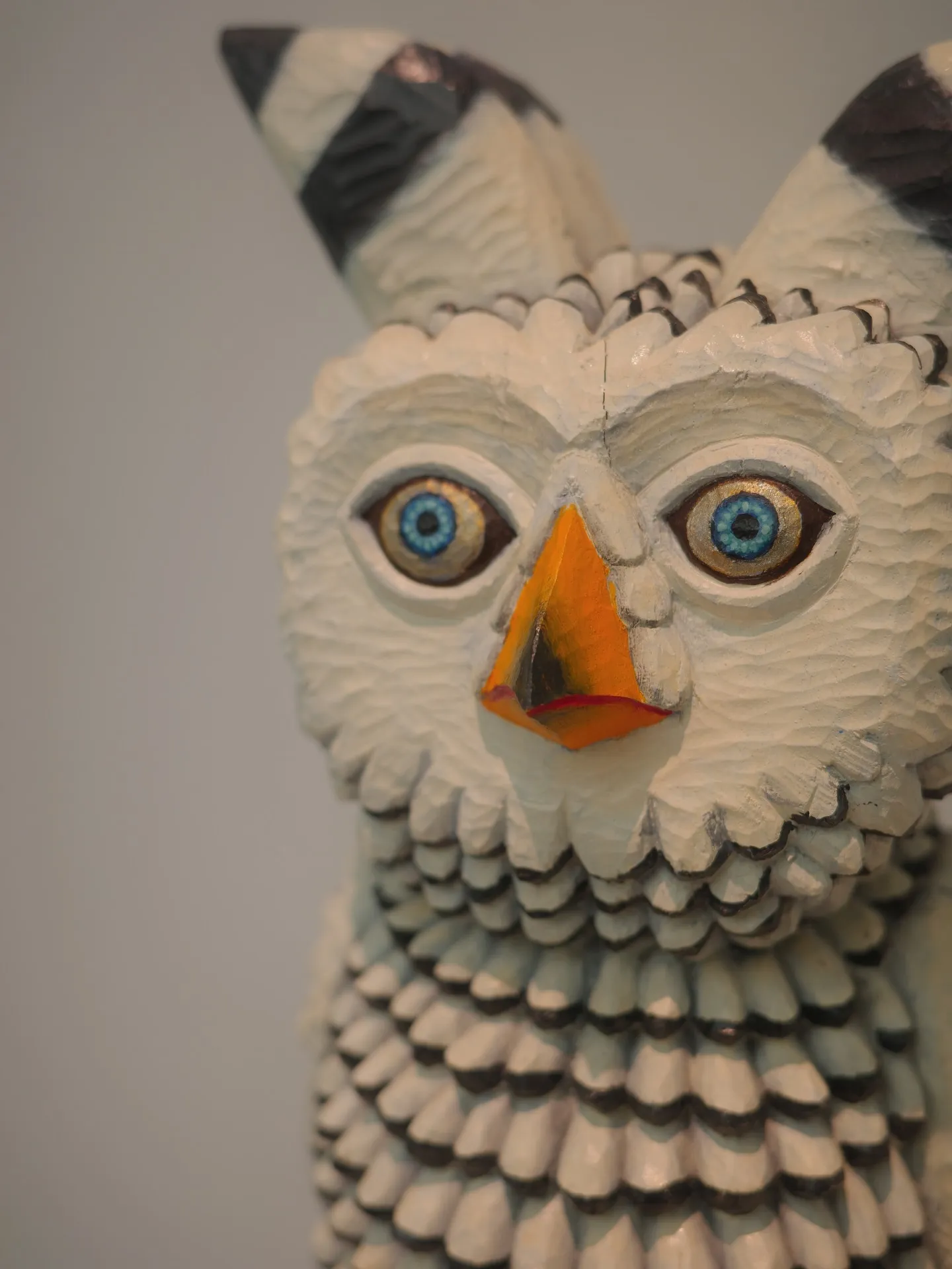 ANIMALSアニマルズ　三沢敦彦