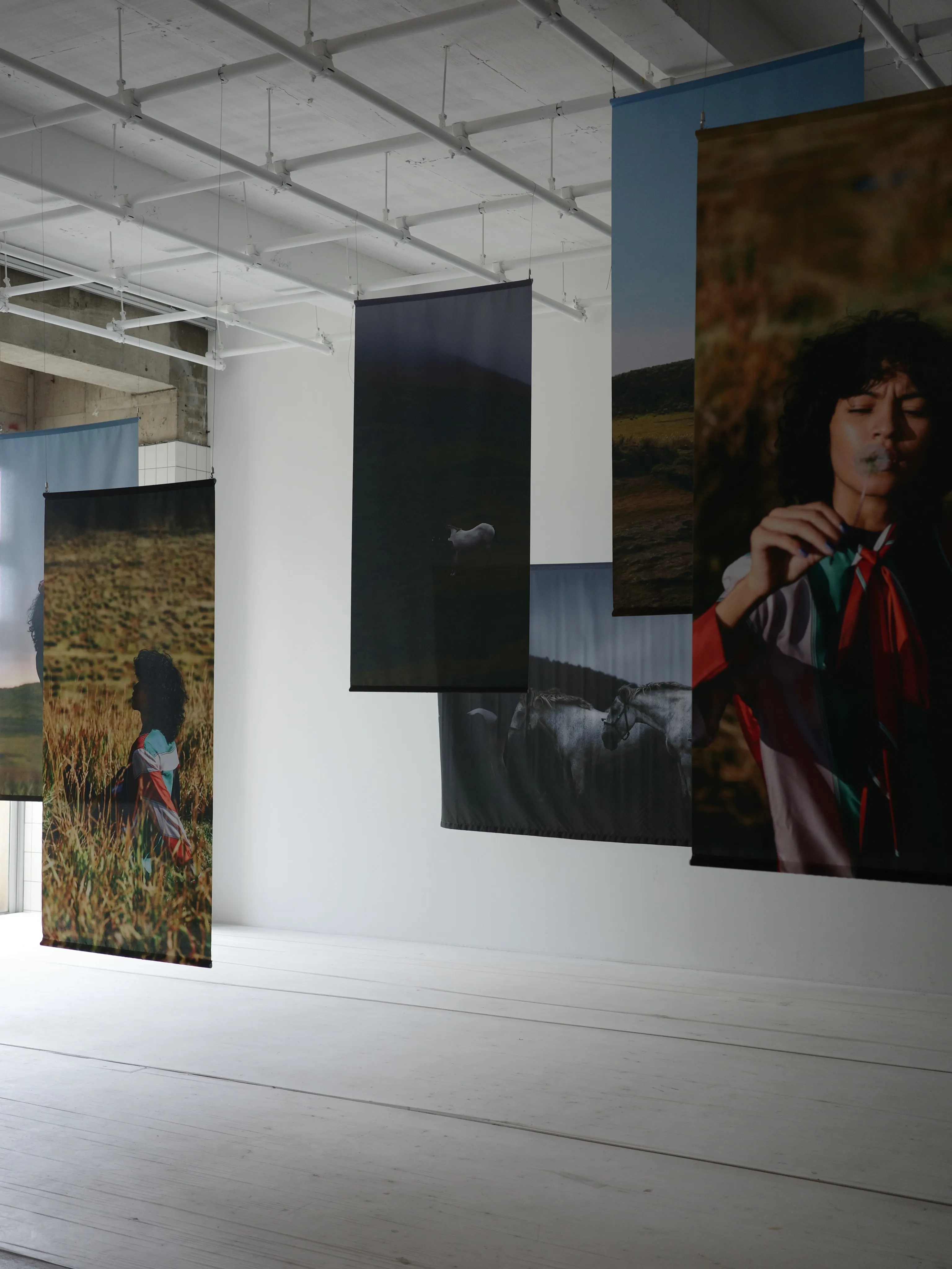 武藤健二 個展 