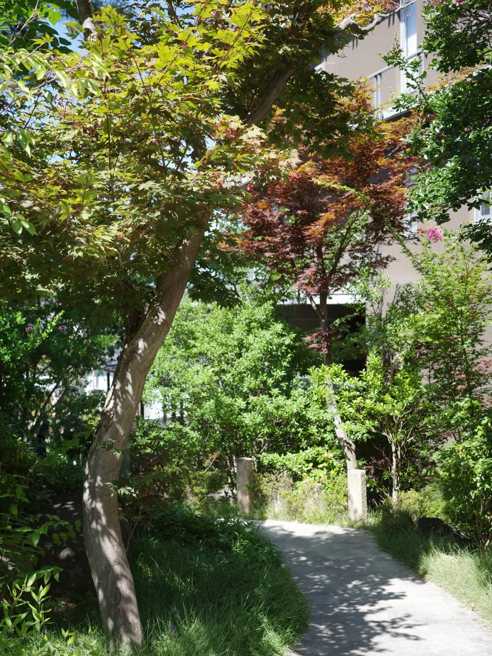 松本十帖